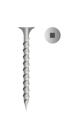picture of square drive bugle head coated exterior dry wall screw