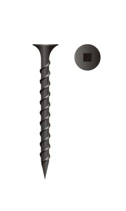 picture of square drive buggle head coarse thread dry wall screw