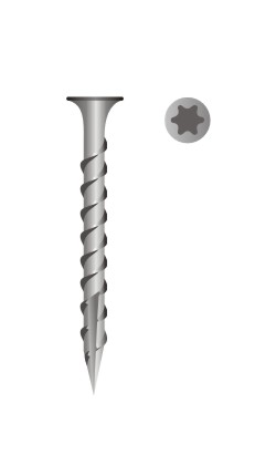 picture of star drive bugle head type 17 point screw